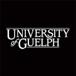 Guelph library writing services